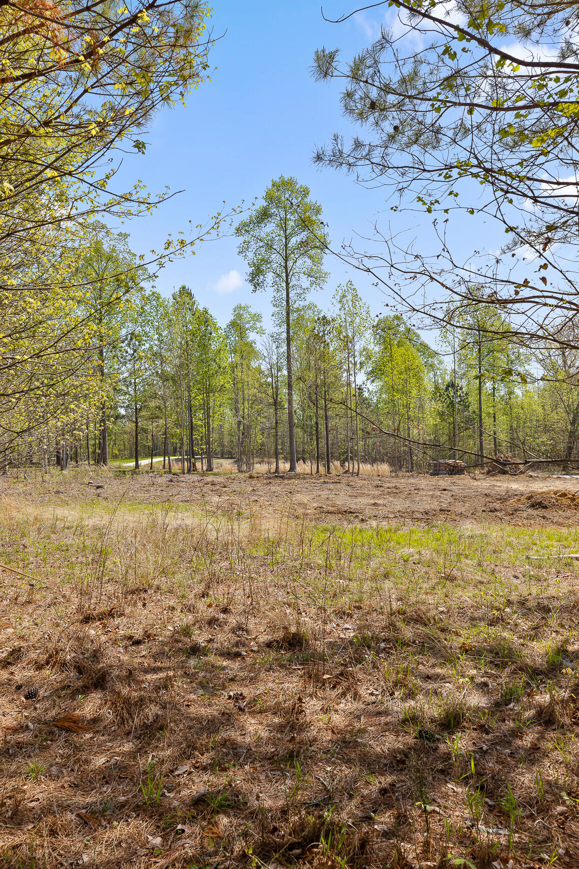 Lot 93 Raulston Falls Road, Jasper, Tennessee image 30