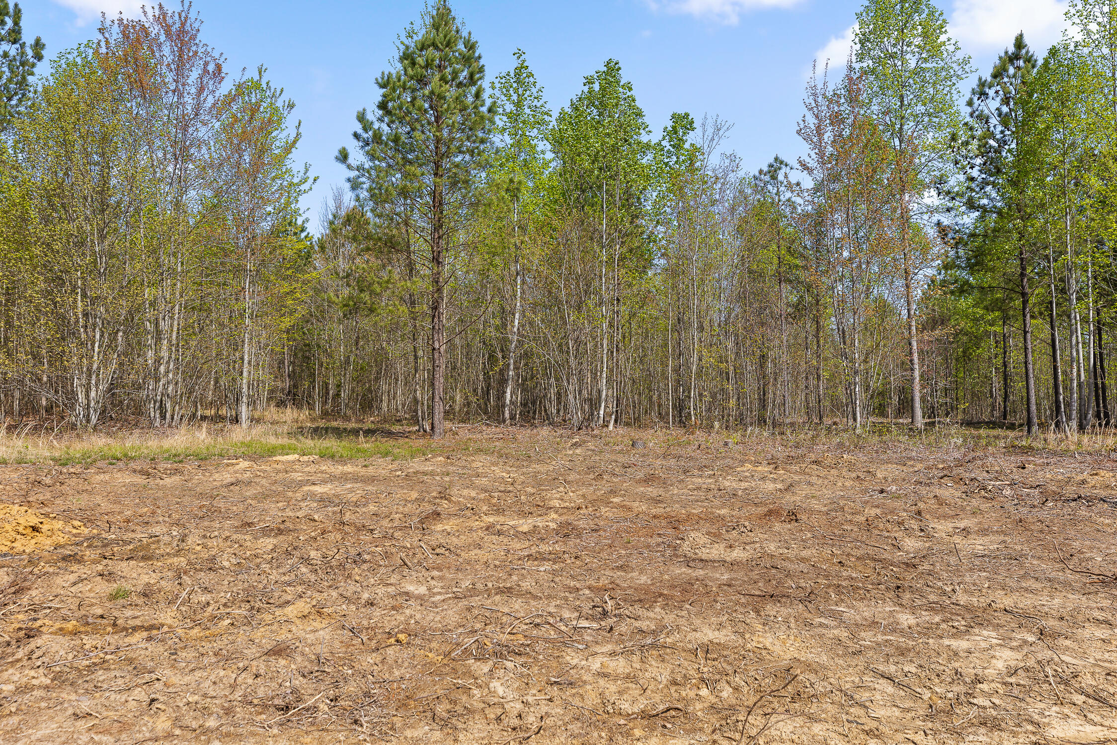 Lot 93 Raulston Falls Road, Jasper, Tennessee image 22