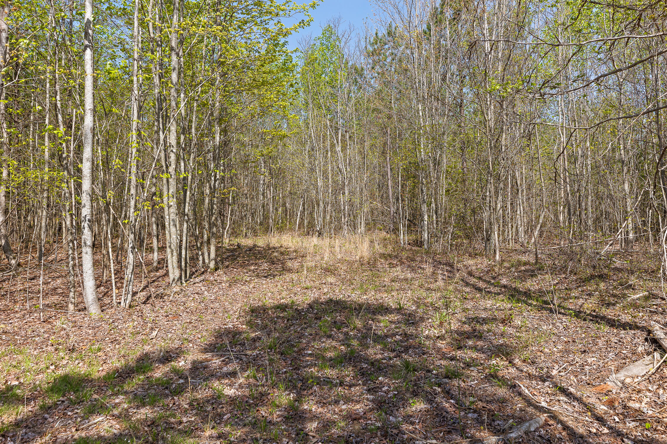 Lot 93 Raulston Falls Road, Jasper, Tennessee image 27