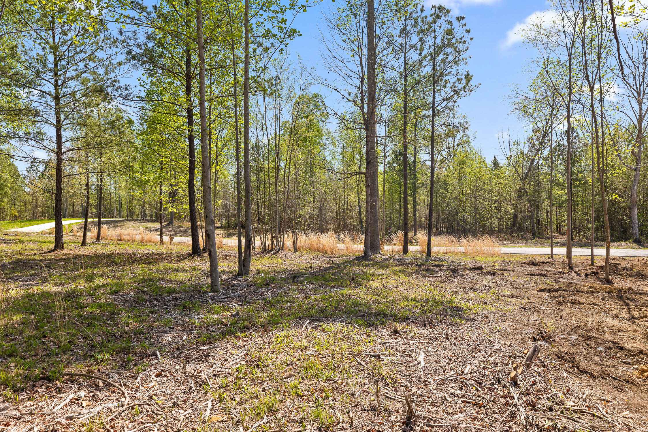 Lot 93 Raulston Falls Road, Jasper, Tennessee image 26