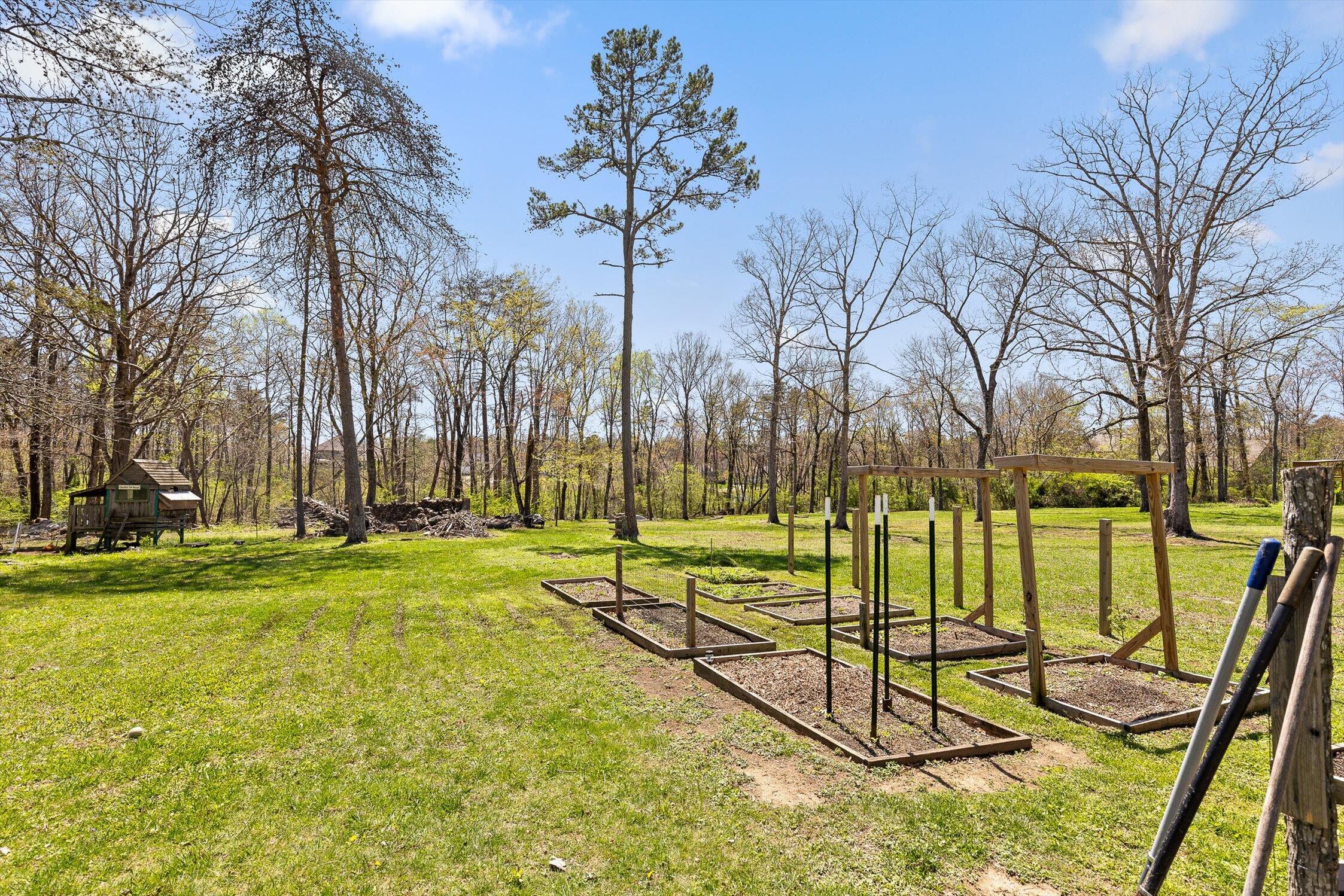 7310 Sawyer Pike, Signal Mountain, Tennessee image 27