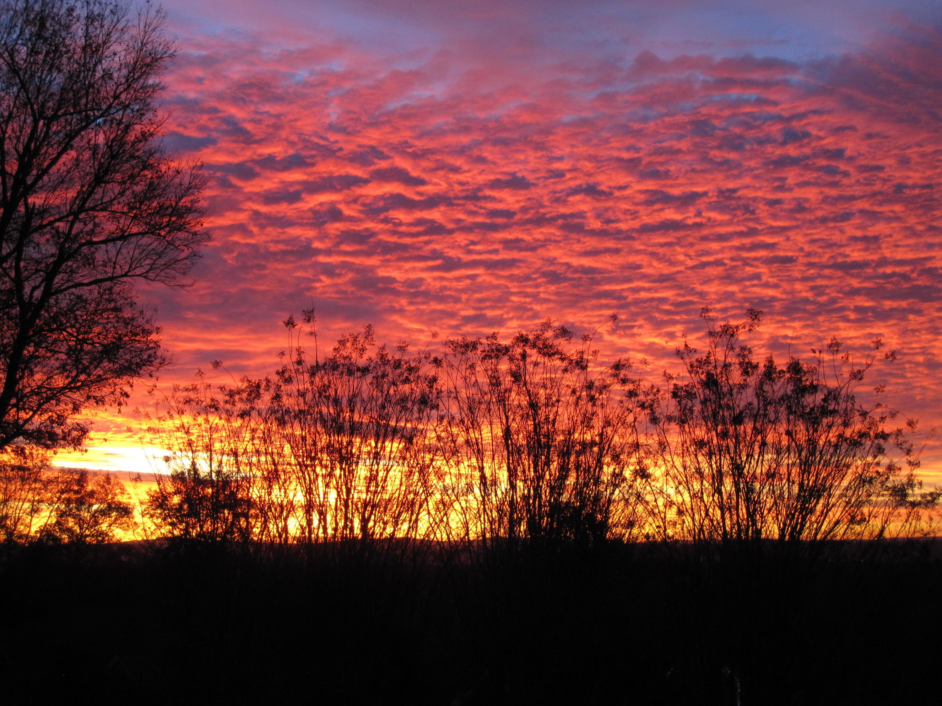 Hixson, Tennessee 37343, United States, 4 Bedrooms Bedrooms, ,4 BathroomsBathrooms,Residential,Pending,22261