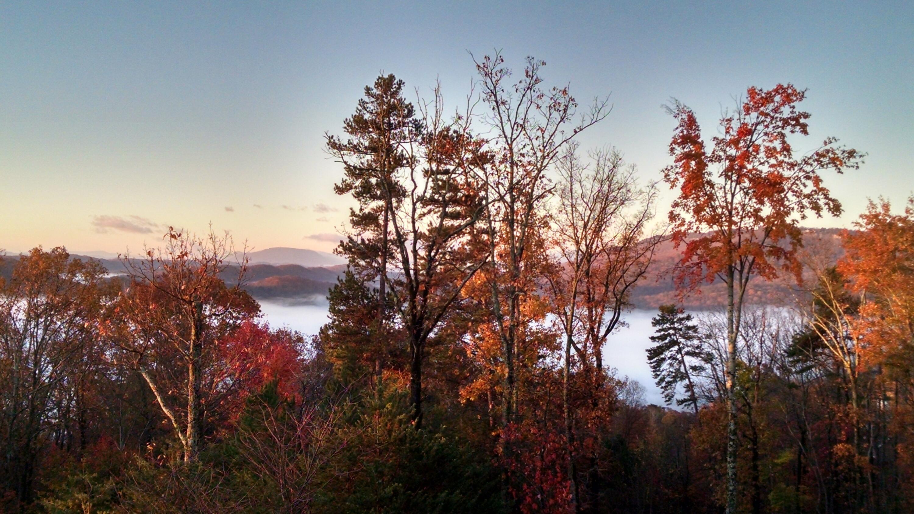 Hixson, Tennessee 37343, United States, 4 Bedrooms Bedrooms, ,4 BathroomsBathrooms,Residential,Pending,22261