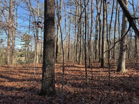Vacant Land For Sale - LOT 7 County Road 751<br/> Valley Head, AL 35989