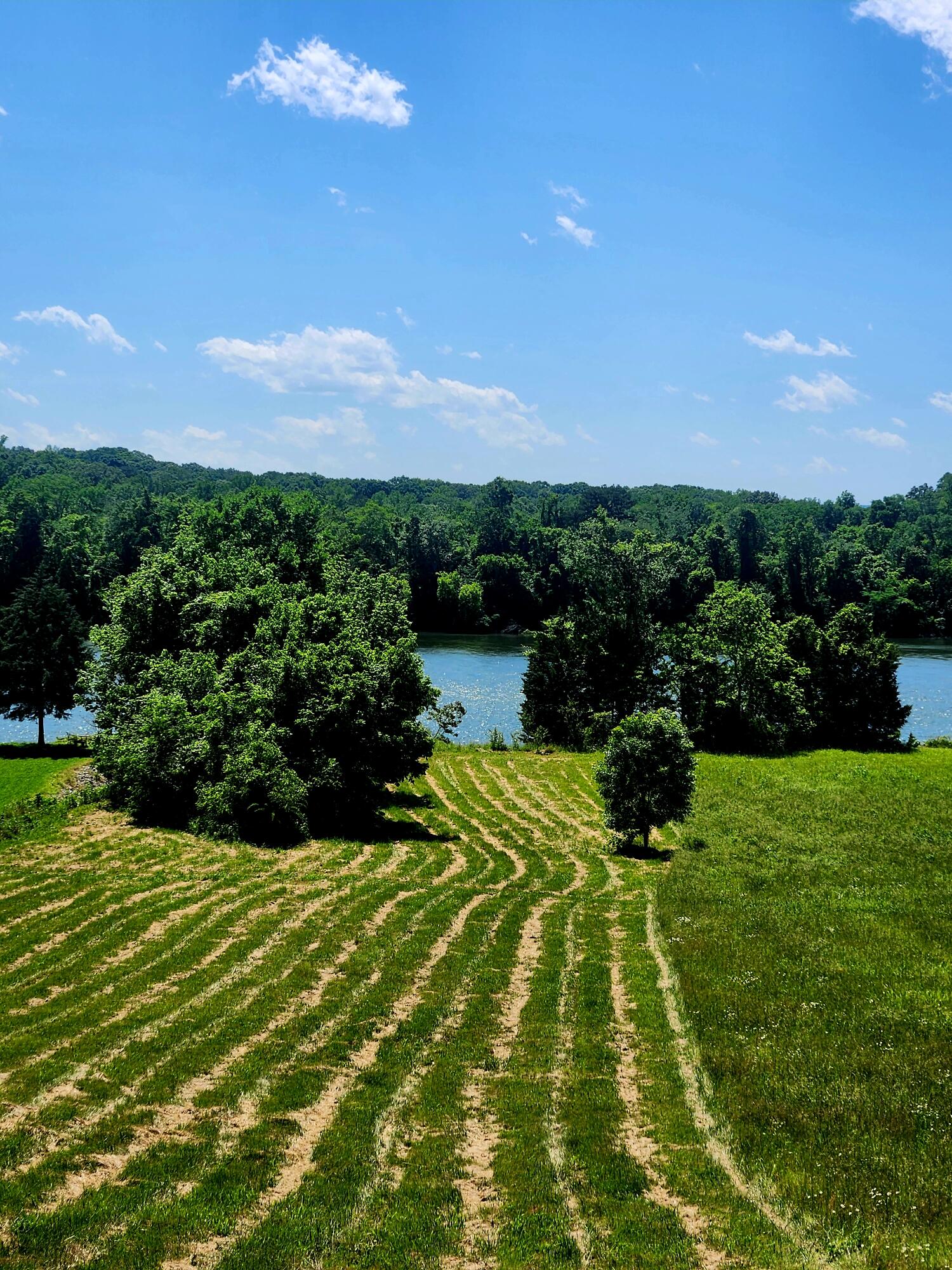 Espalier Drive #067, Decatur, Tennessee image 3