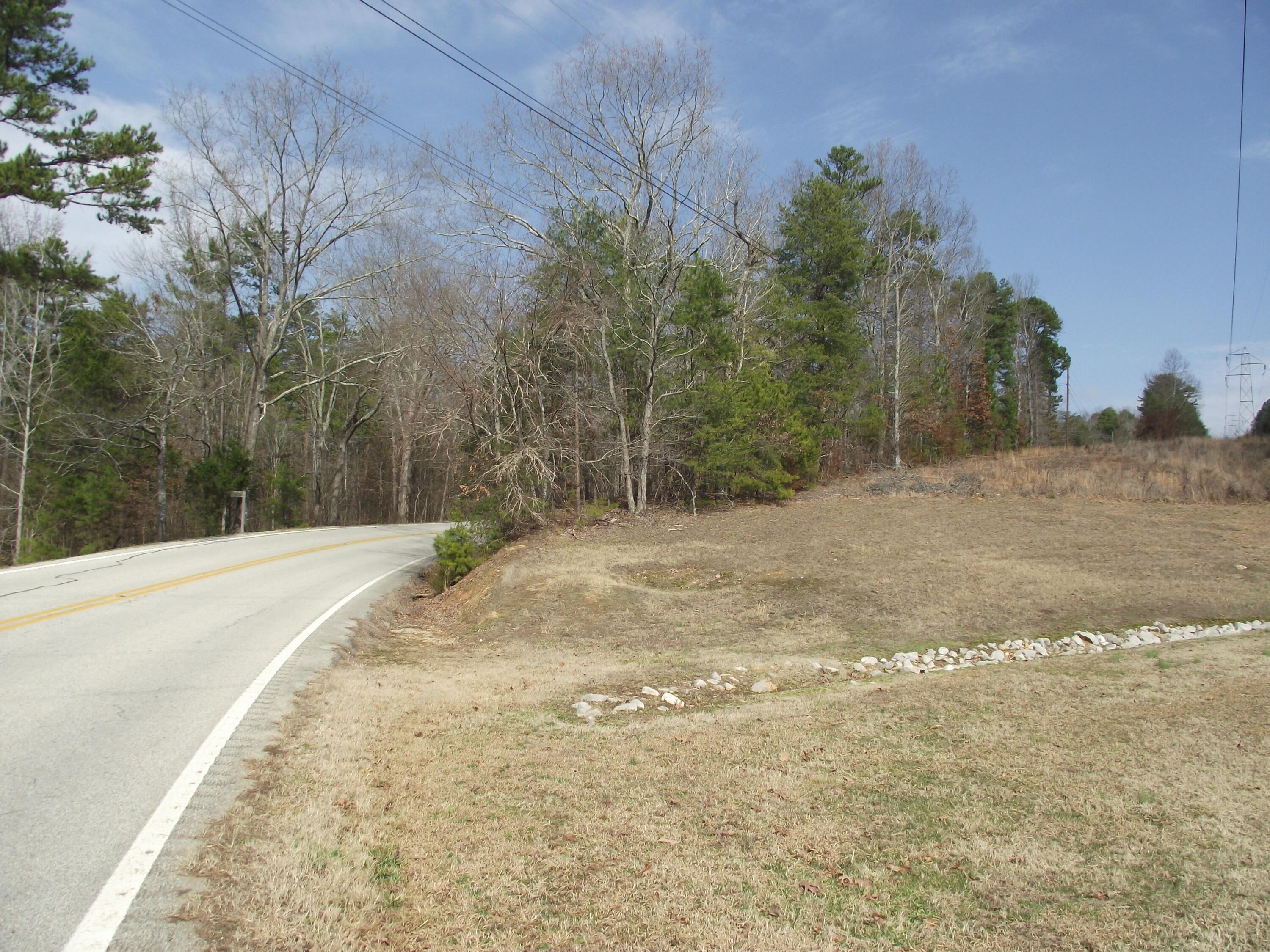 11 Highway 156, South Pittsburg, Tennessee image 8
