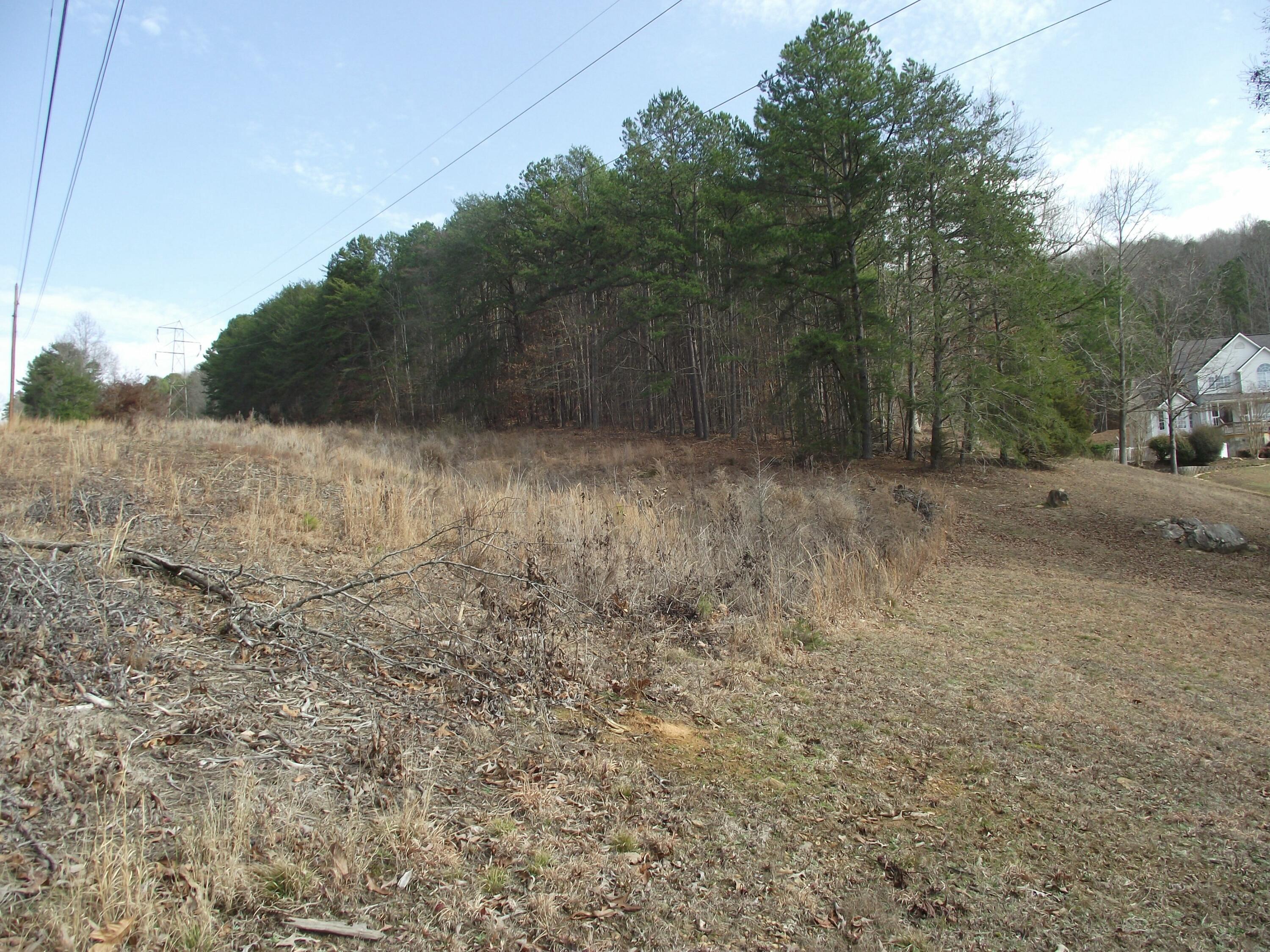 11 Highway 156, South Pittsburg, Tennessee image 7