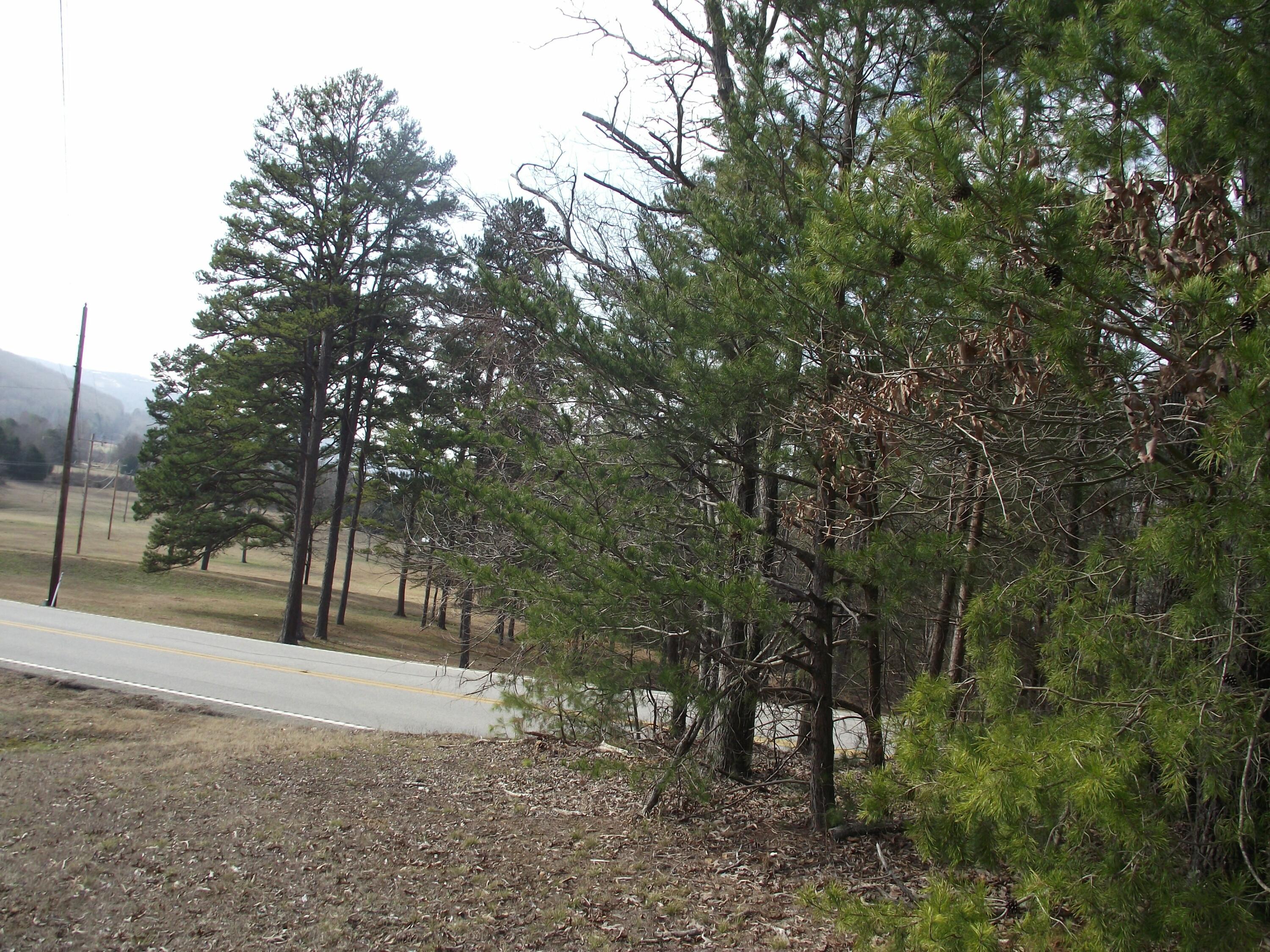 11 Highway 156, South Pittsburg, Tennessee image 6