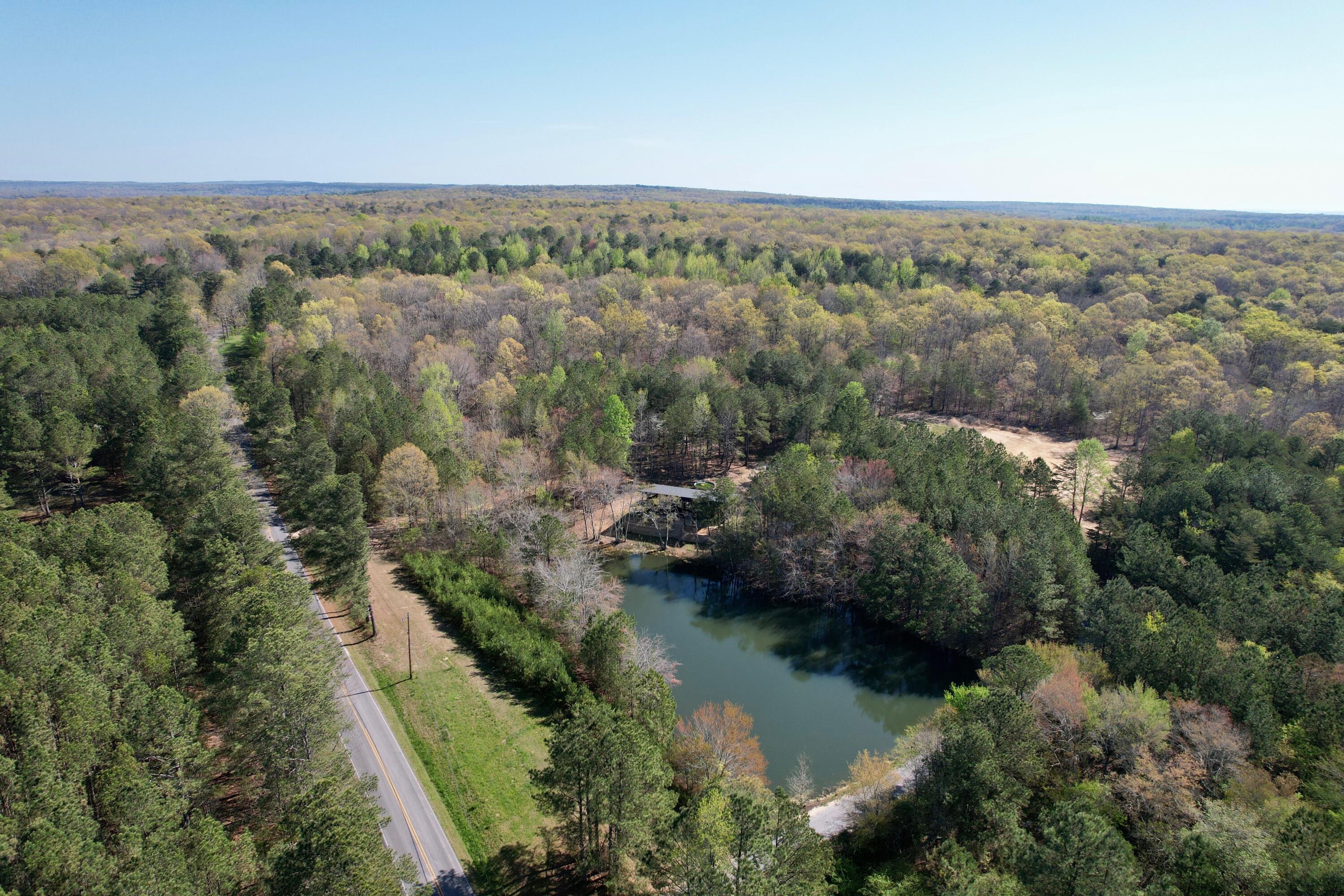 168 State Line Road, Cloudland, Georgia image 7