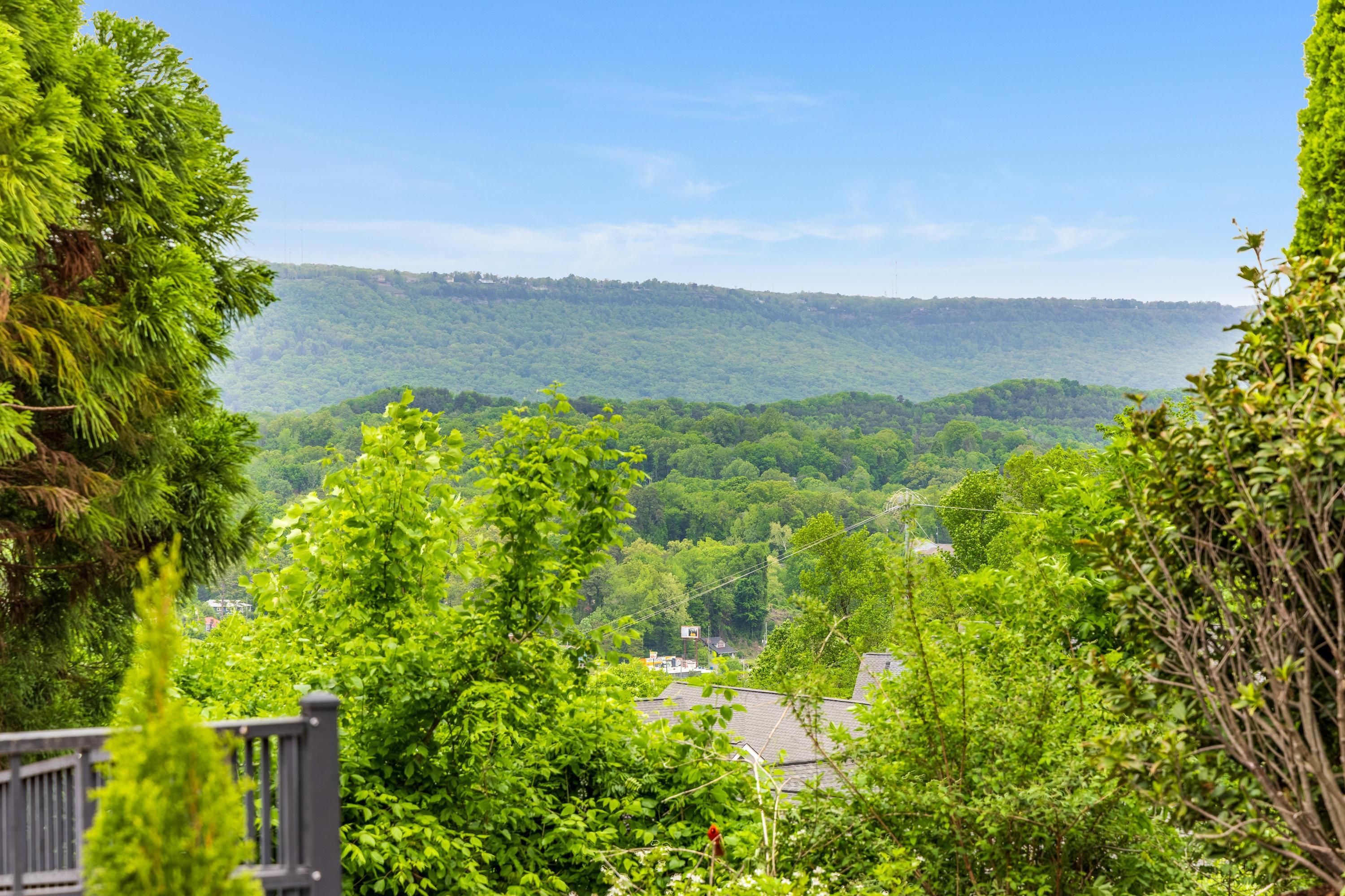 619 Hill Pointe Lane, Chattanooga, Tennessee image 2