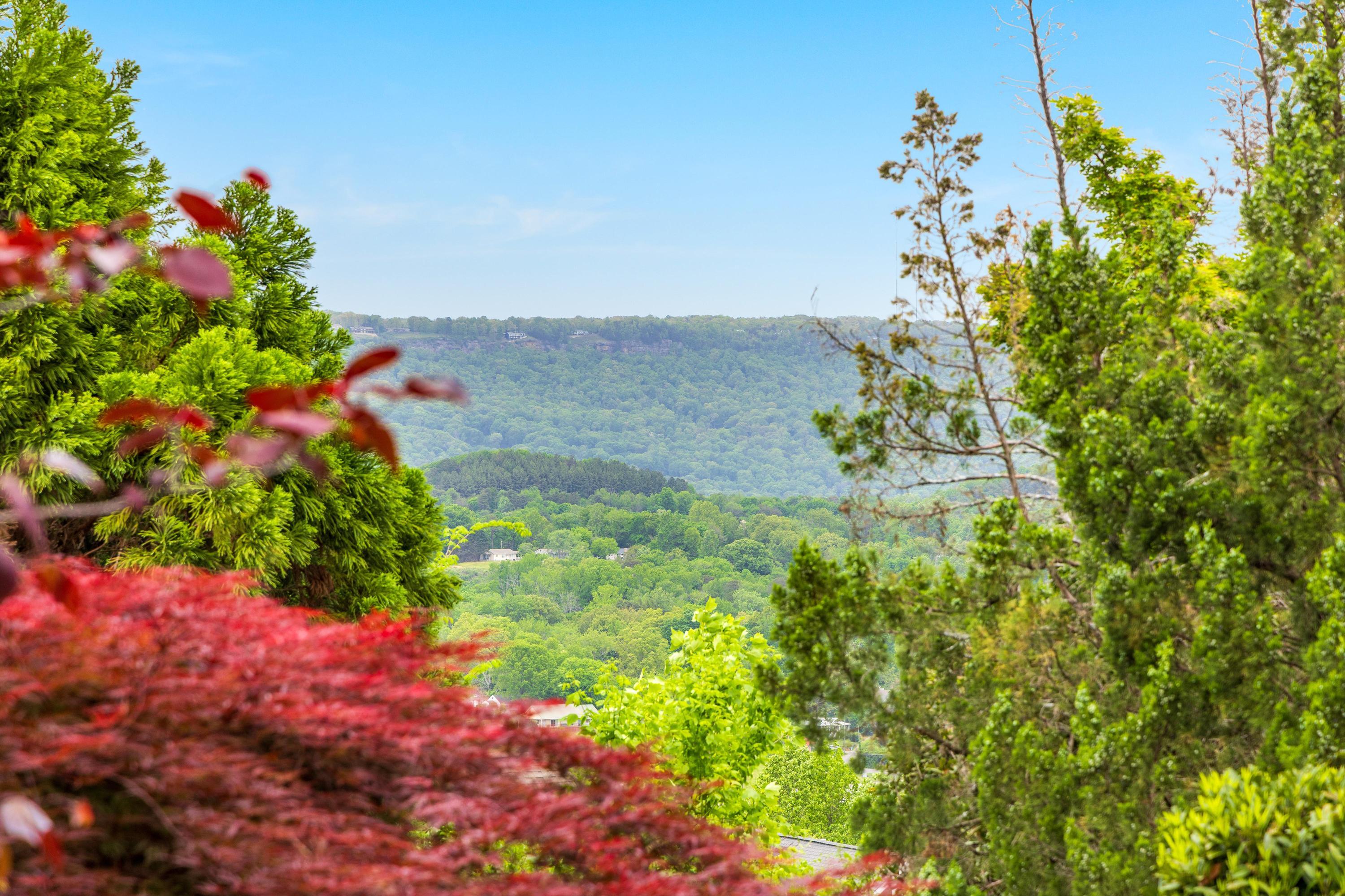 619 Hill Pointe Lane, Chattanooga, Tennessee image 12