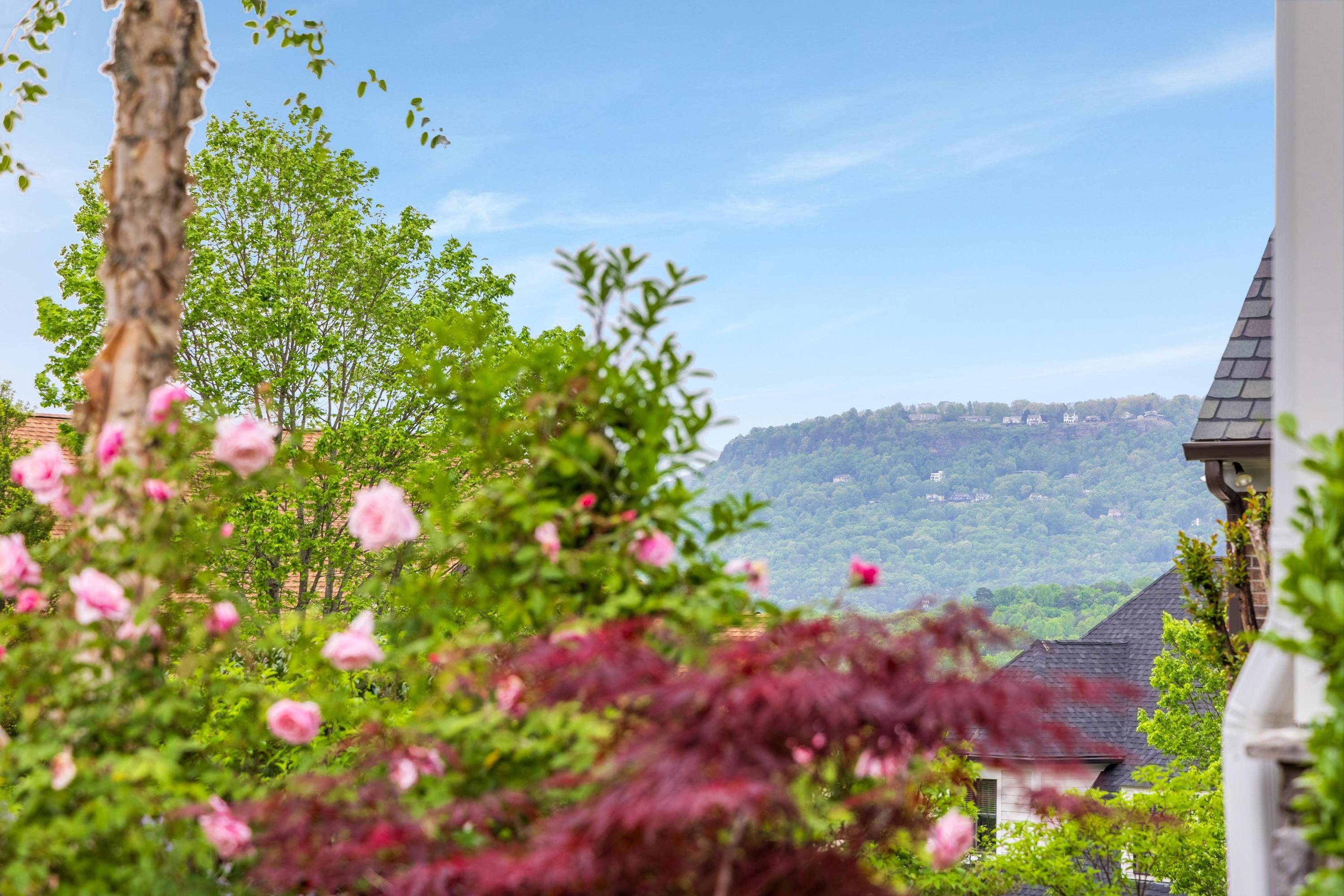 619 Hill Pointe Lane, Chattanooga, Tennessee image 13