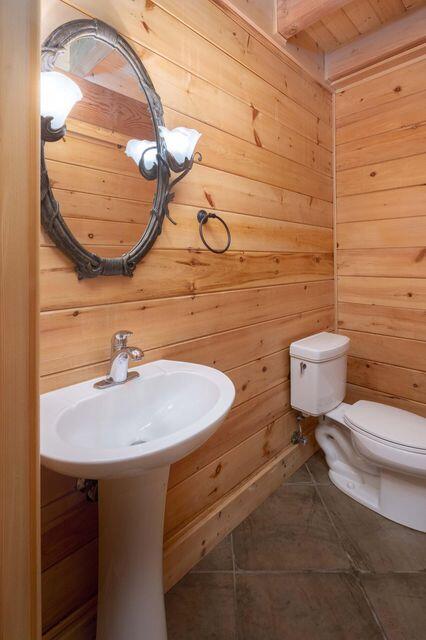 225 Lake Forest Lane, Spring City, Tennessee image 39