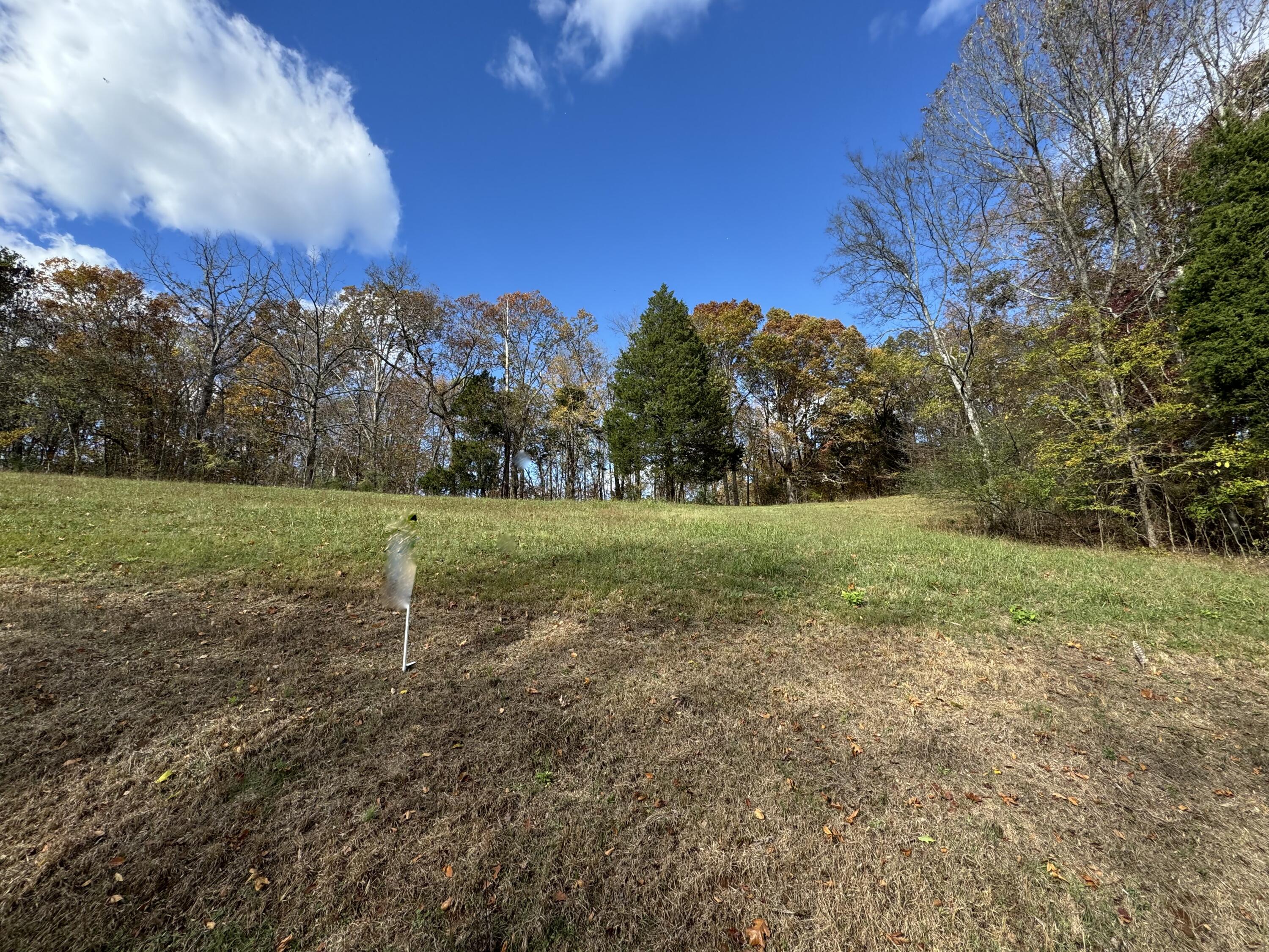 00 The Gates Drive #LOT 39, Decatur, Tennessee image 2