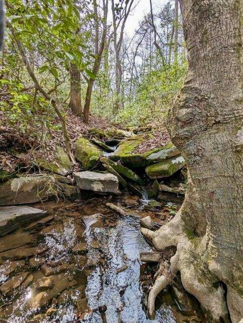 134a Windridge Drive, Dunlap, Tennessee image 2