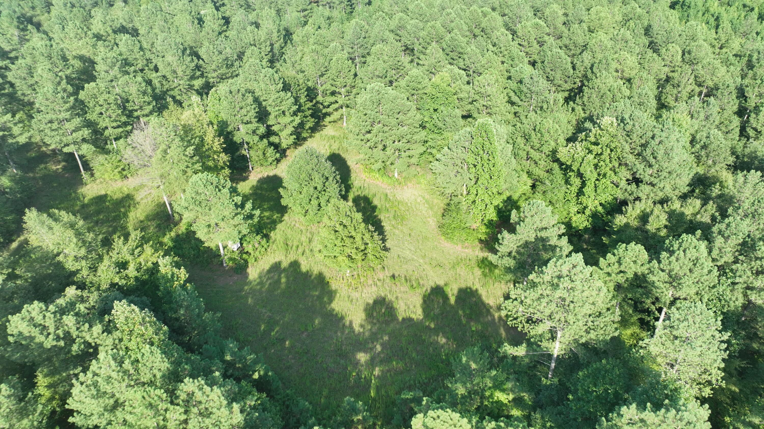 Mccallie Ferry Road, Sale Creek, Tennessee image 14