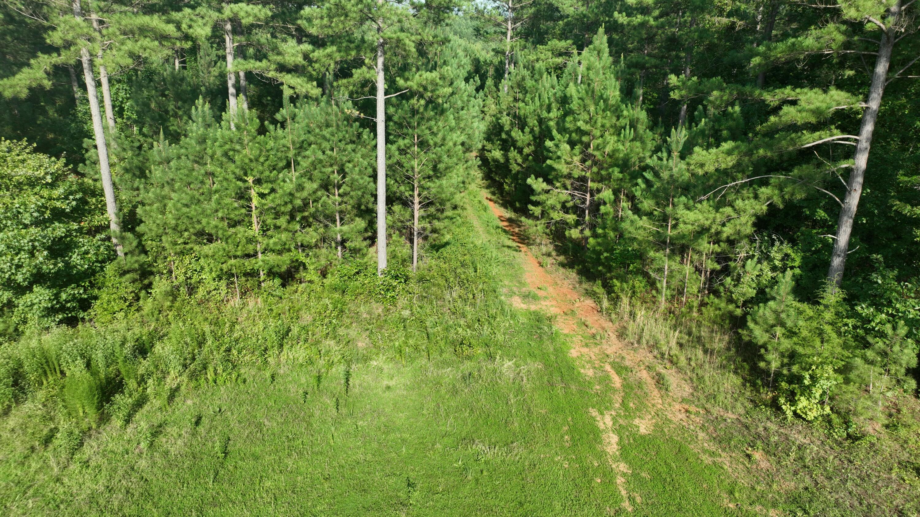 Mccallie Ferry Road, Sale Creek, Tennessee image 10