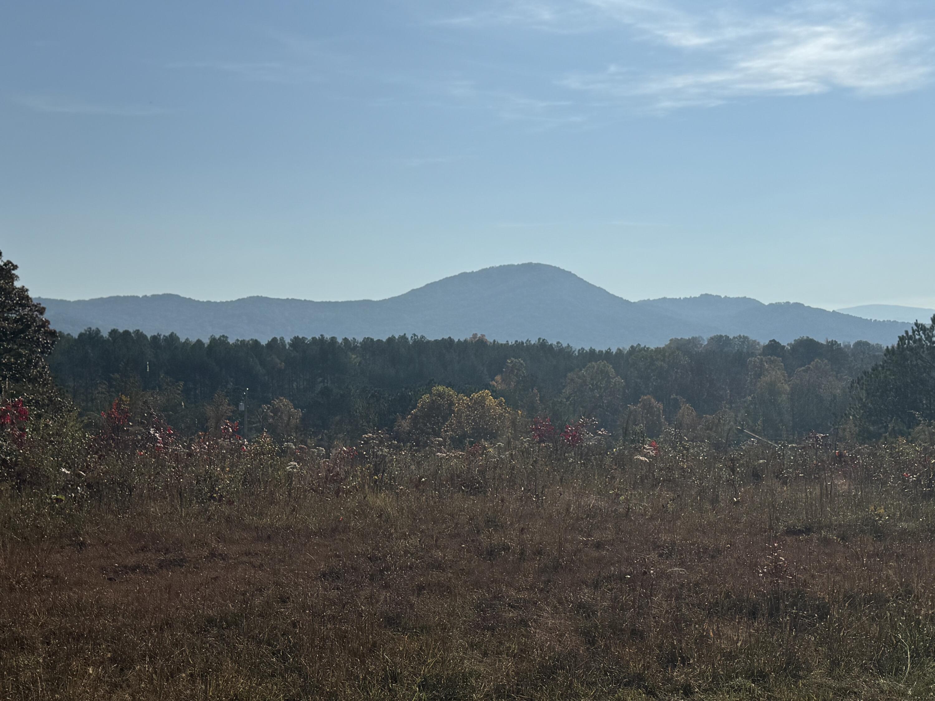 Tennga Gregory Road, Crandall, Georgia image 27