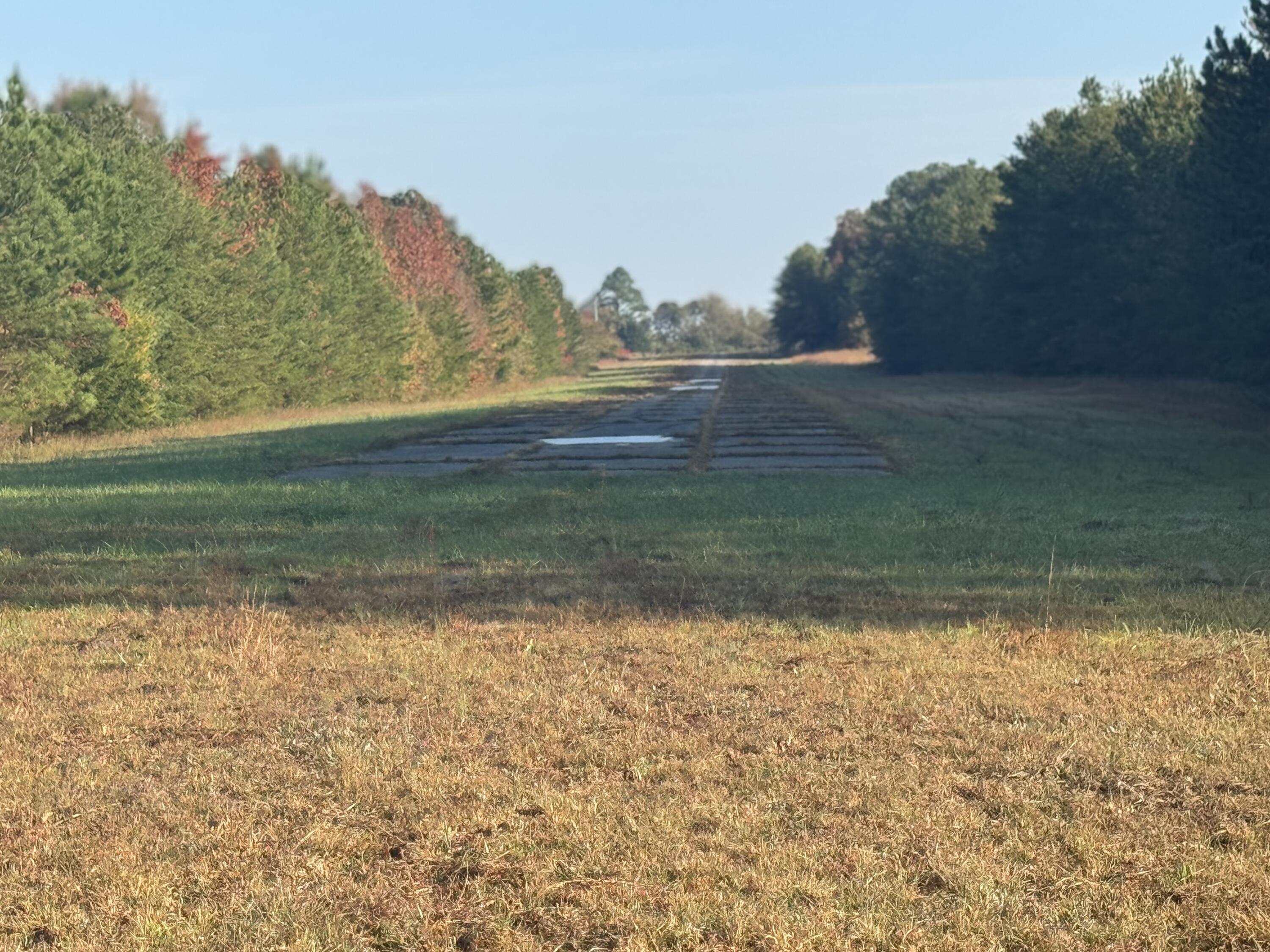 Tennga Gregory Road, Crandall, Georgia image 14