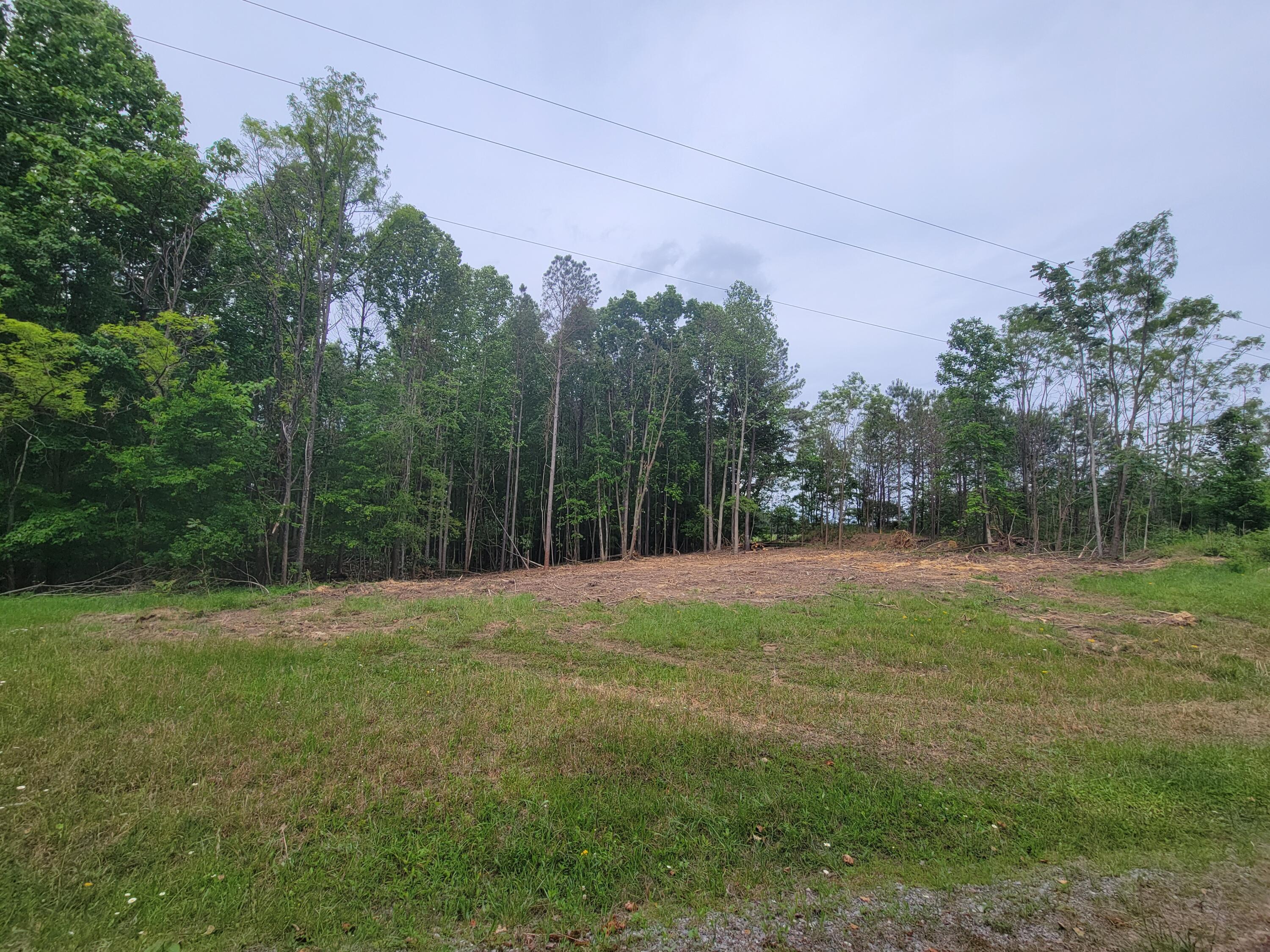 15 Thunder Ridge Drive #LOT 15, South Pittsburg, Tennessee image 7