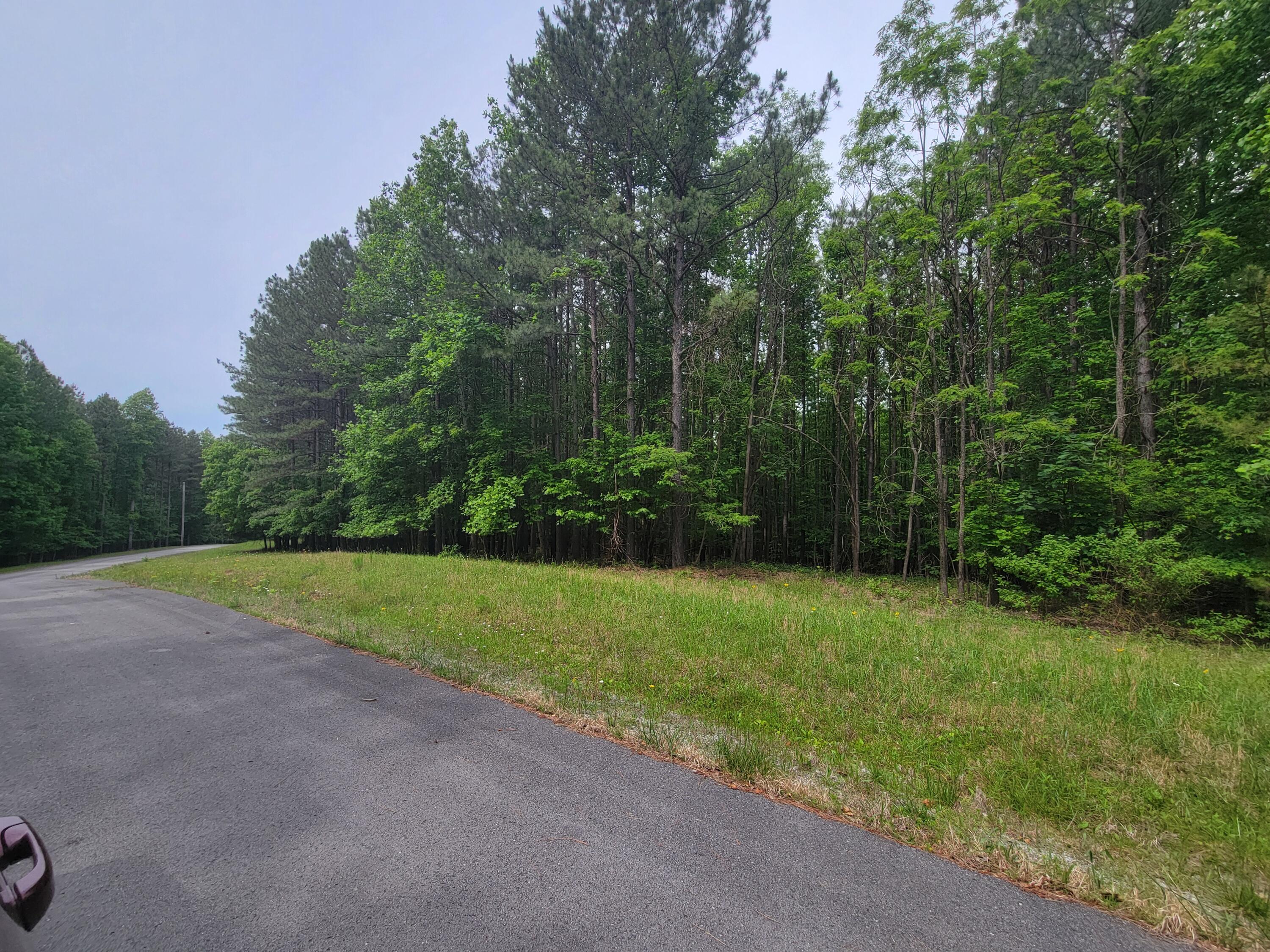 15 Thunder Ridge Drive #LOT 15, South Pittsburg, Tennessee image 4