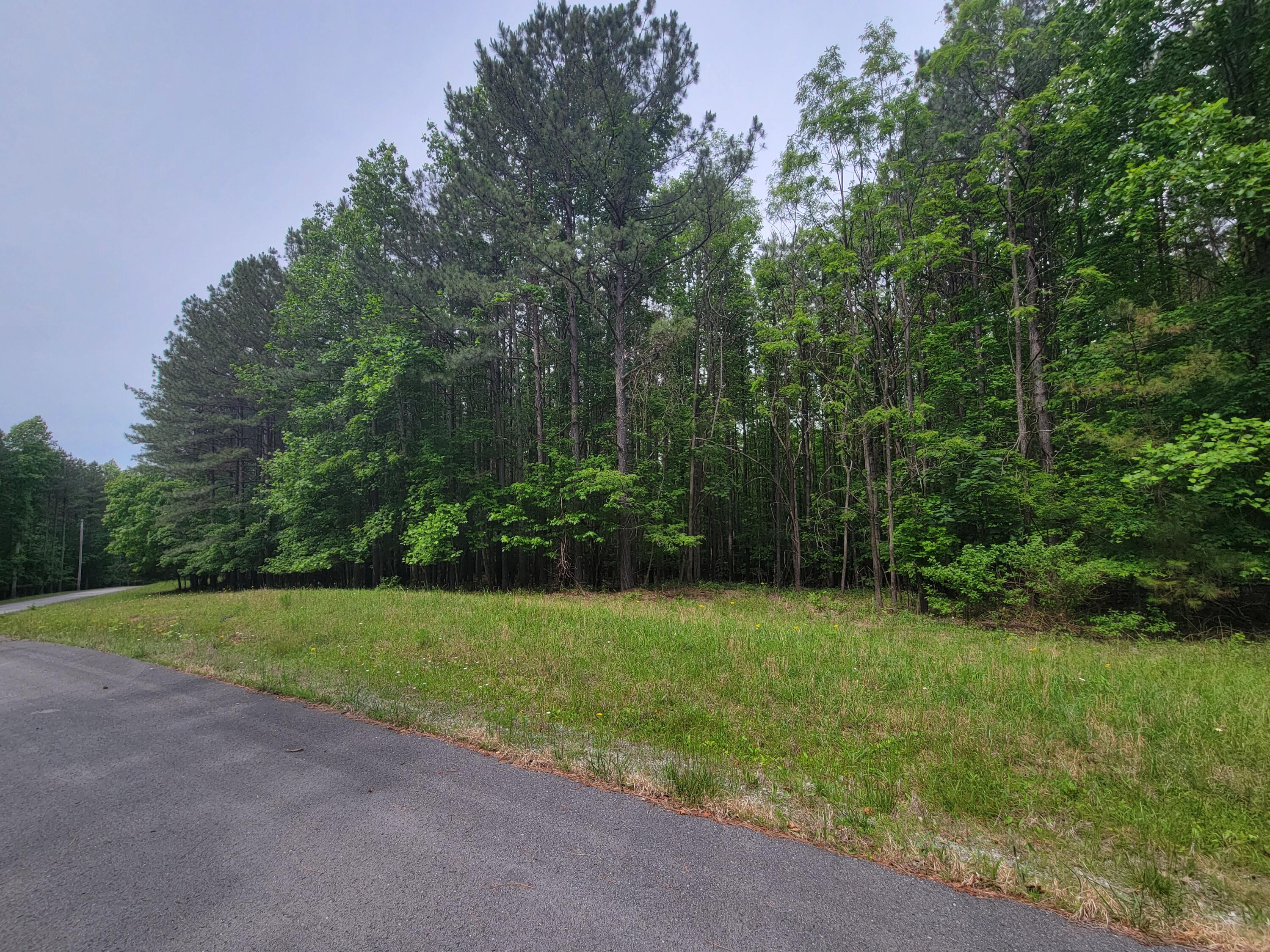 15 Thunder Ridge Drive #LOT 15, South Pittsburg, Tennessee image 5