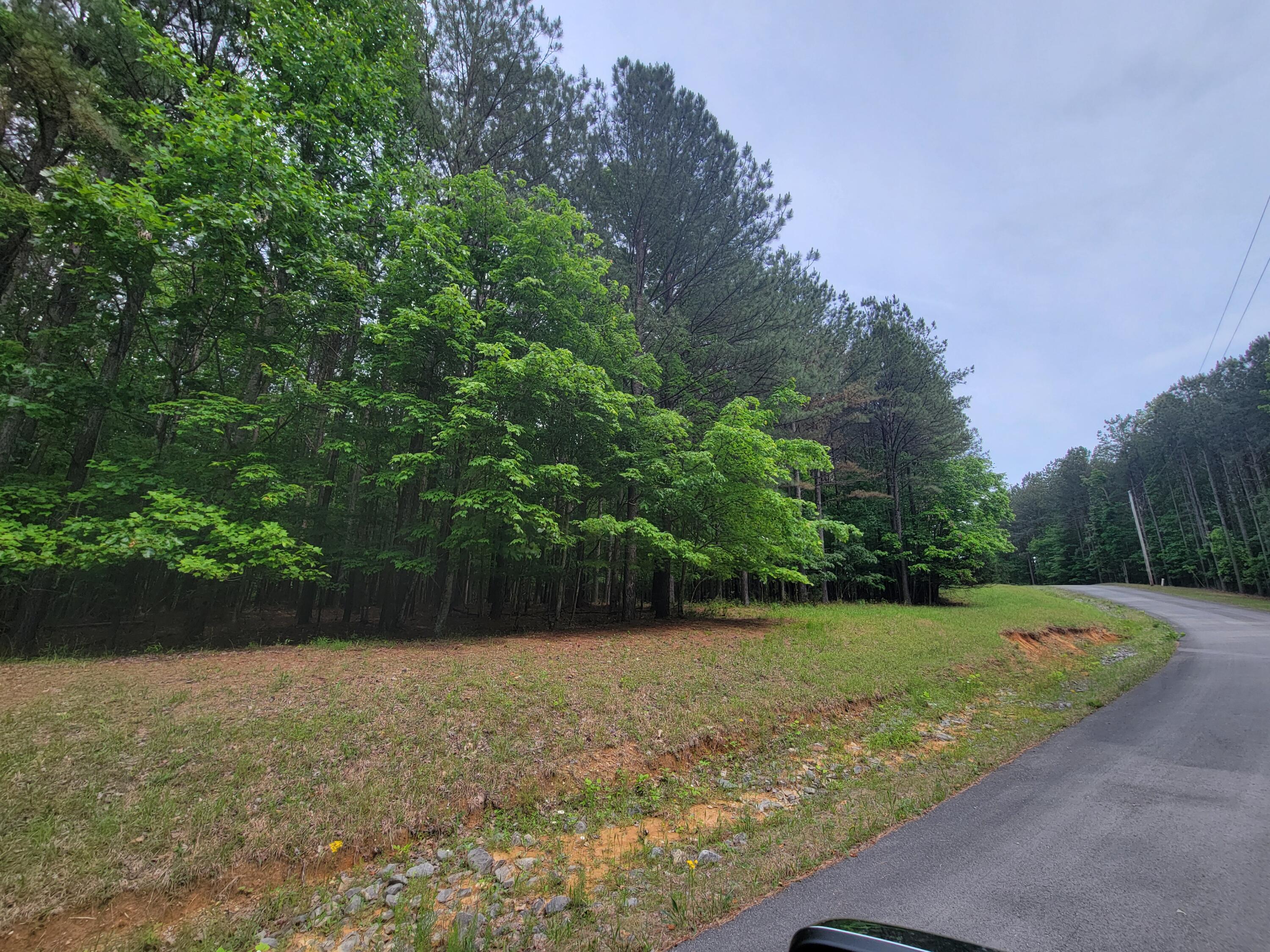 15 Thunder Ridge Drive #LOT 15, South Pittsburg, Tennessee image 3
