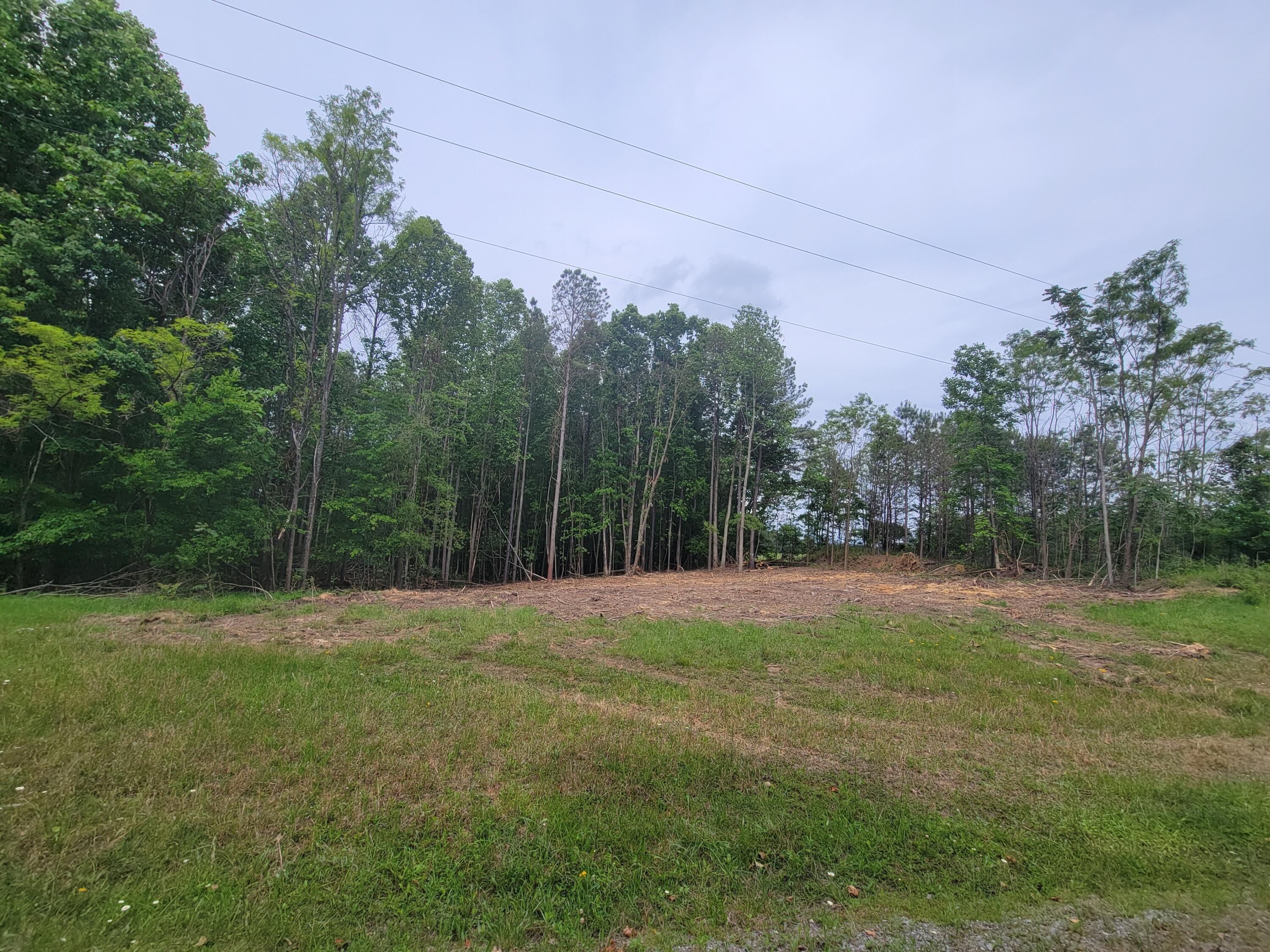 15 Thunder Ridge Drive #LOT 15, South Pittsburg, Tennessee image 6