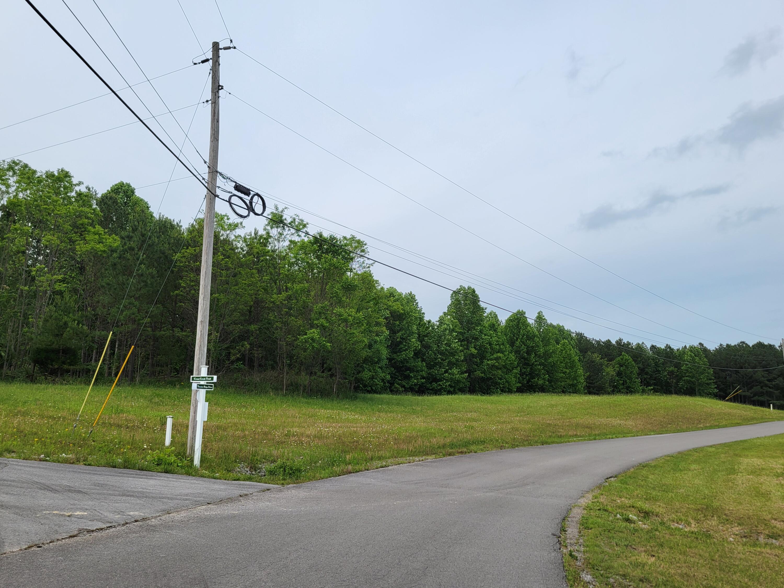 15 Thunder Ridge Drive #LOT 15, South Pittsburg, Tennessee image 9