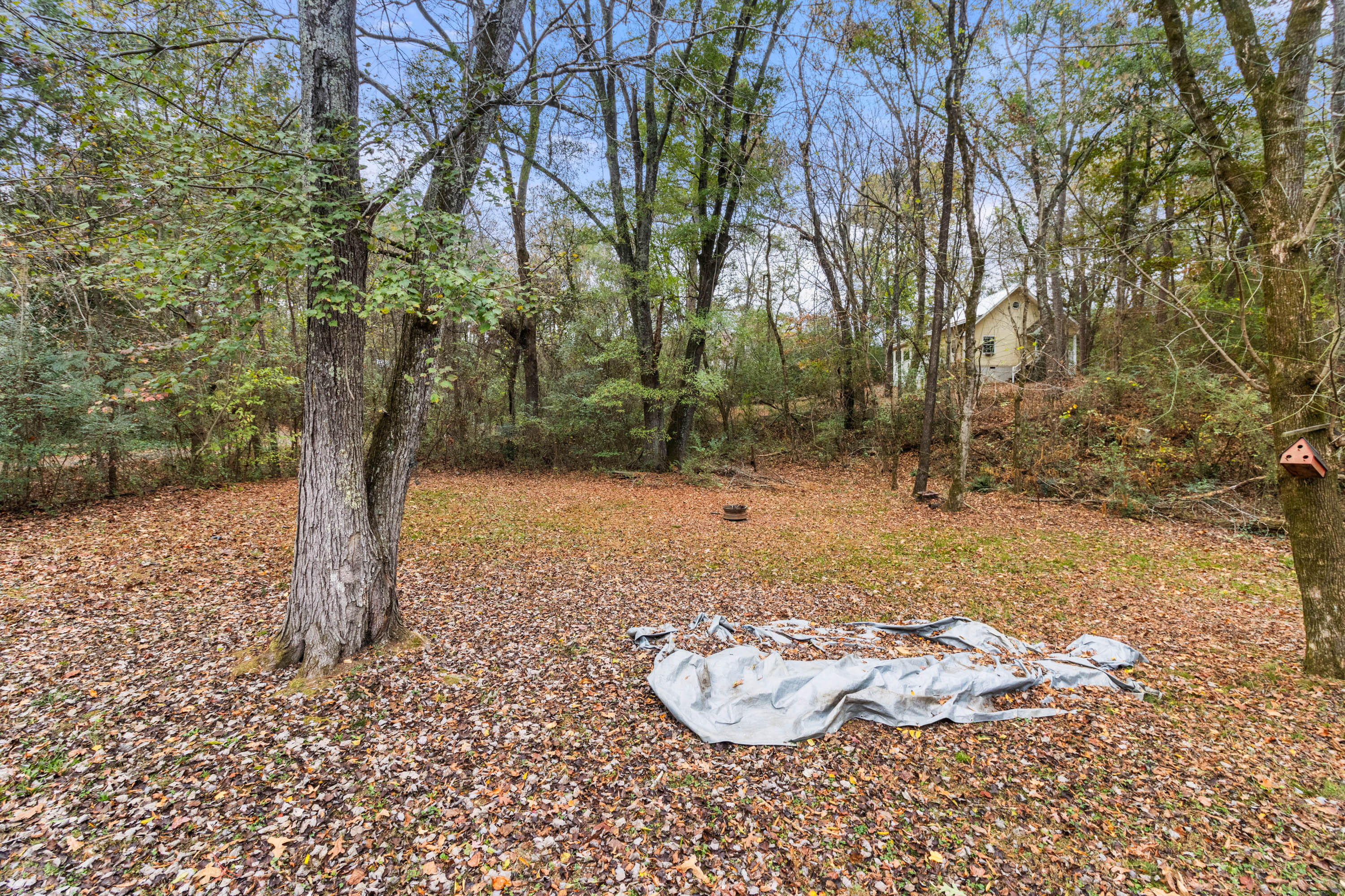 255 Chambers Lane, Ringgold, Georgia image 30