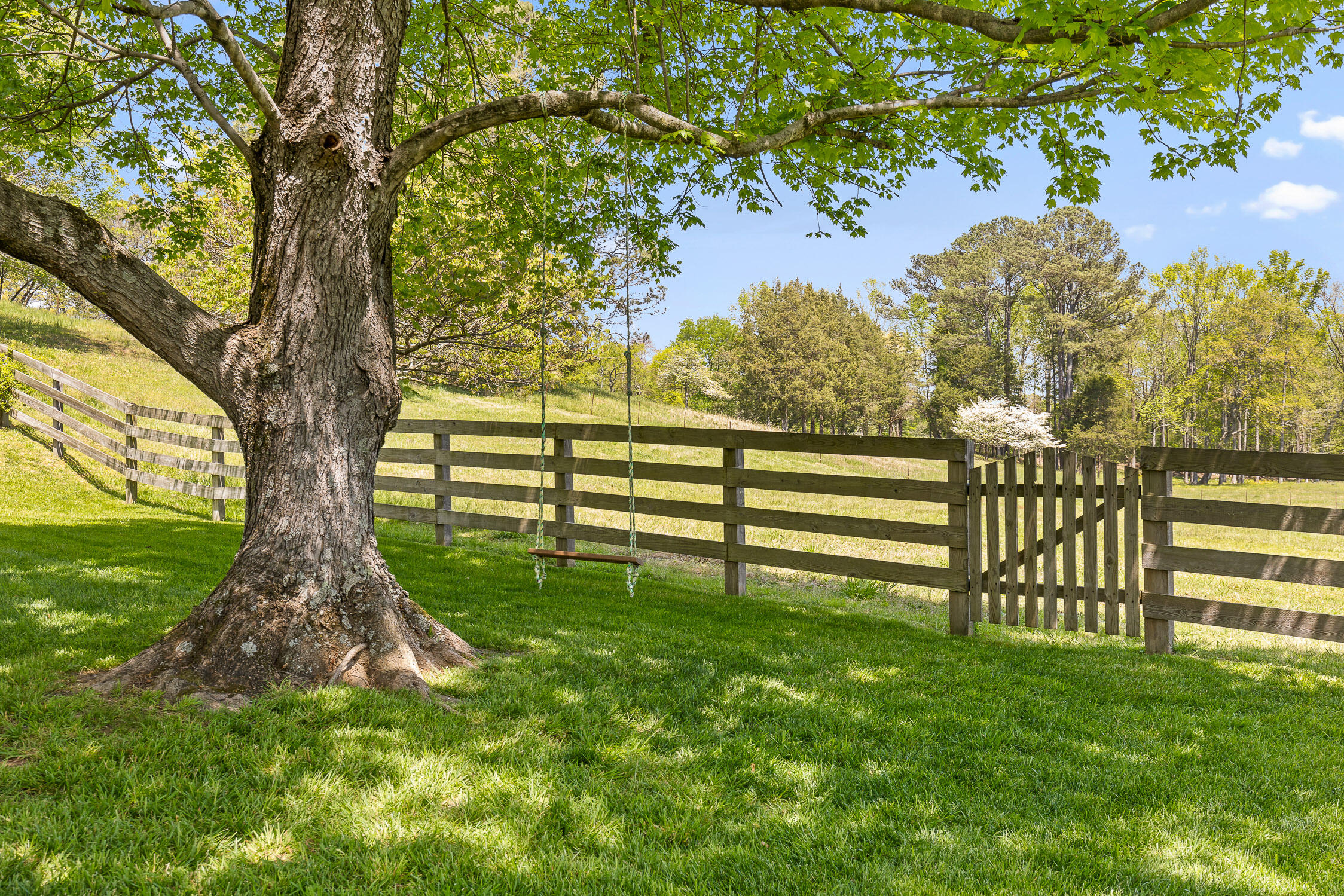 3723 Benton Pike Ne Pike, Cleveland, Tennessee image 2
