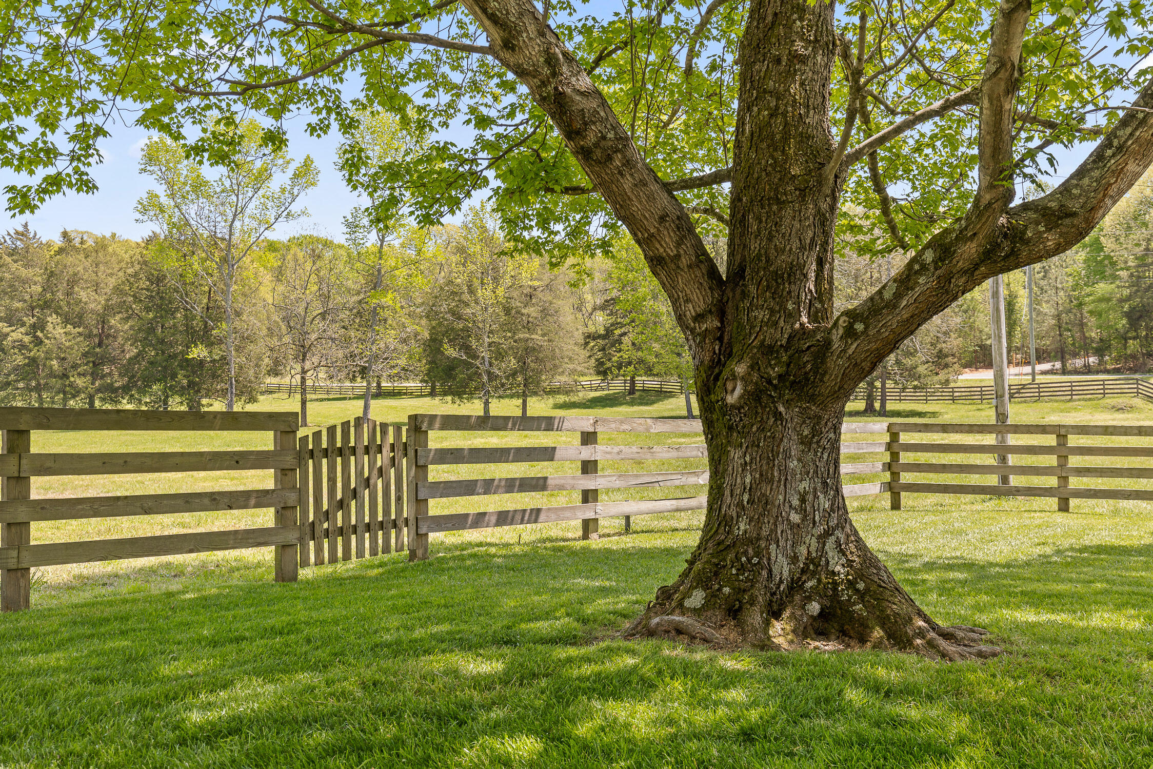 3723 Benton Pike Ne Pike, Cleveland, Tennessee image 23