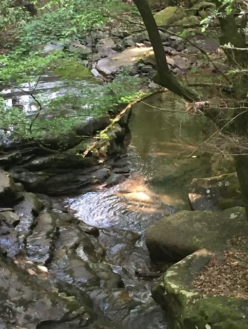 Turkey Trl Trail, Dunlap, Tennessee image 45