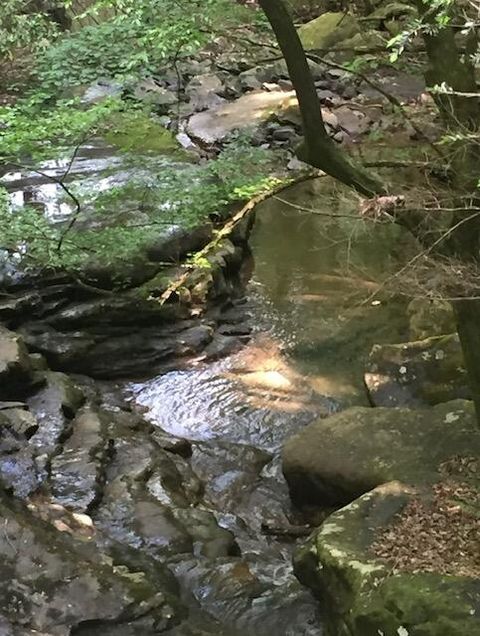 Tiny photo for 0 Turkey Trl Trail, Dunlap, TN 37327 (MLS # 1358711)