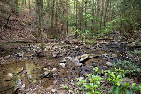 Tiny photo for 0 Turkey Trl Trail, Dunlap, TN 37327 (MLS # 1358711)