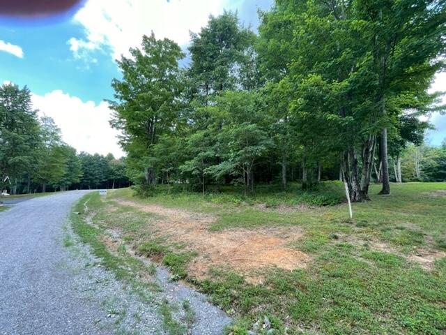 Turkey Trl Trail, Dunlap, Tennessee image 12