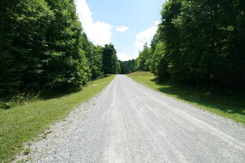 Tiny photo for 0 Turkey Trl Trail, Dunlap, TN 37327 (MLS # 1358711)