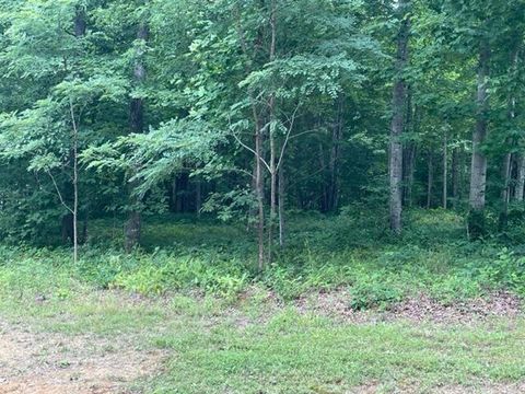 Tiny photo for 0 Turkey Trl Trail, Dunlap, TN 37327 (MLS # 1358711)