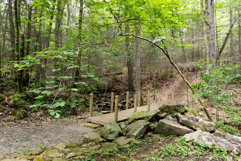 Tiny photo for 0 Turkey Trl Trail, Dunlap, TN 37327 (MLS # 1358711)