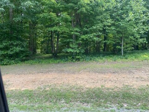 Tiny photo for 0 Turkey Trl Trail, Dunlap, TN 37327 (MLS # 1358711)