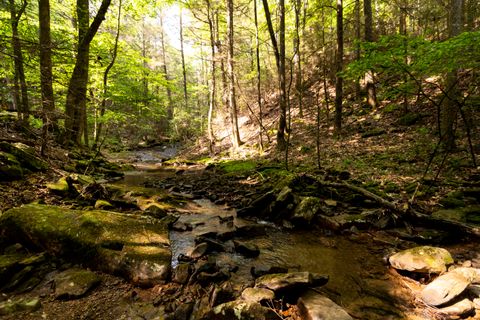 Tiny photo for 0 Turkey Trl Trail, Dunlap, TN 37327 (MLS # 1358711)