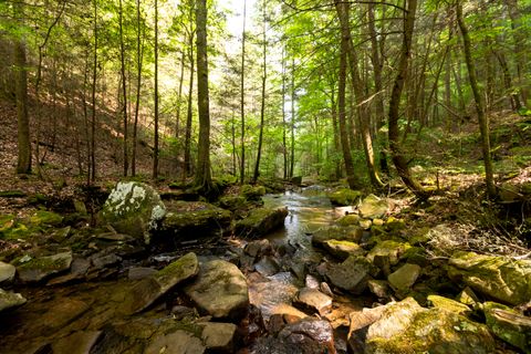 Tiny photo for 0 Turkey Trl Trail, Dunlap, TN 37327 (MLS # 1358711)