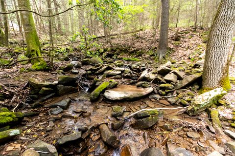 Tiny photo for 0 Turkey Trl Trail, Dunlap, TN 37327 (MLS # 1358711)