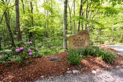 Tiny photo for 0 Turkey Trl Trail, Dunlap, TN 37327 (MLS # 1358711)