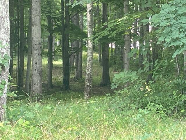 Turkey Trl Trail, Dunlap, Tennessee image 15