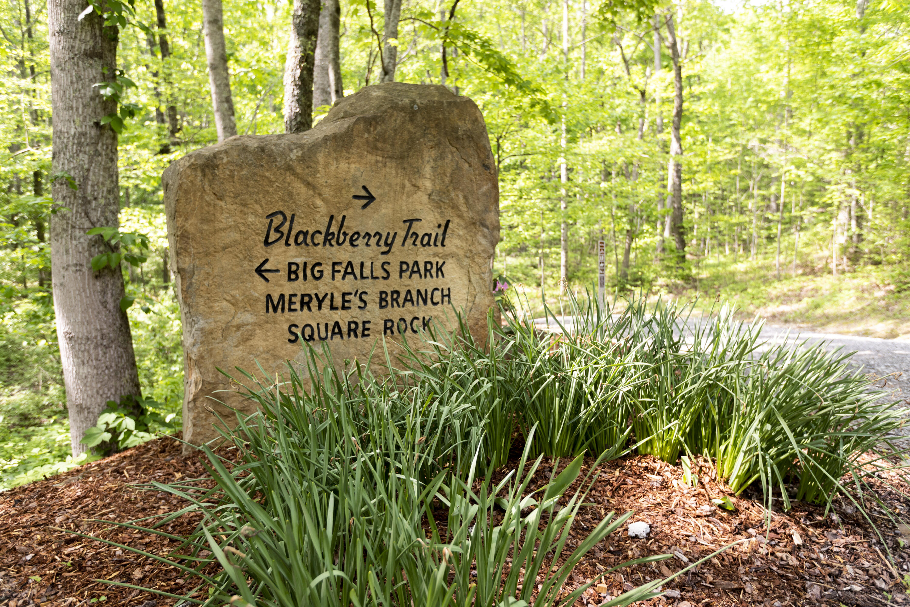 Turkey Trl Trail, Dunlap, Tennessee image 17