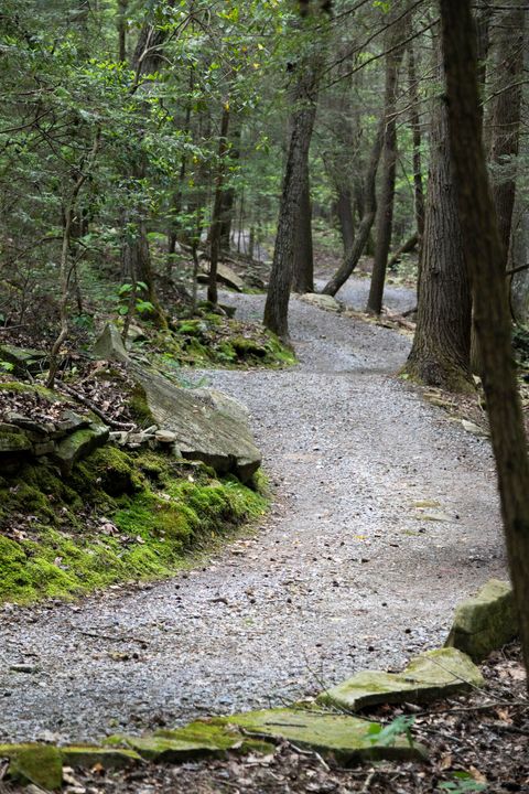 Tiny photo for 0 Turkey Trl Trail, Dunlap, TN 37327 (MLS # 1358711)