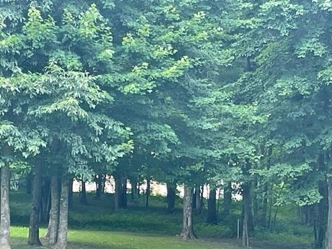 Tiny photo for 0 Turkey Trl Trail, Dunlap, TN 37327 (MLS # 1358711)