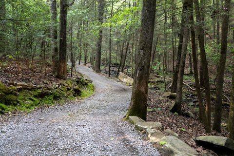 Tiny photo for 0 Turkey Trl Trail, Dunlap, TN 37327 (MLS # 1358711)