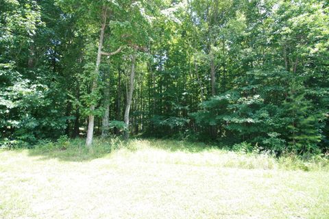 Tiny photo for 0 Turkey Trl Trail, Dunlap, TN 37327 (MLS # 1358711)